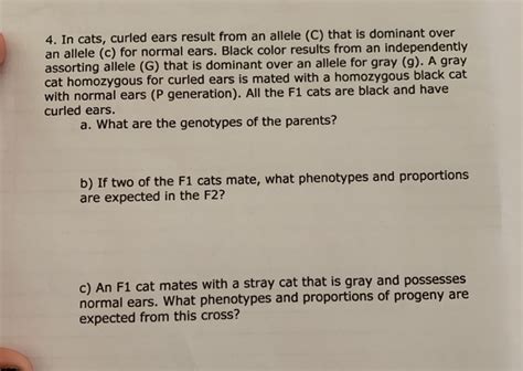 in cats curled ears result from an allele|Patterns of allele frequency differences among domestic cat .
